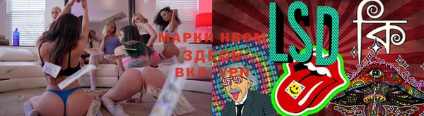 apvp Алзамай