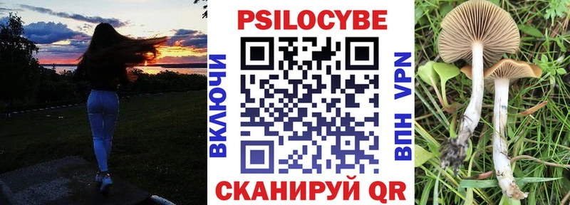 наркошоп  Барнаул  Псилоцибиновые грибы Psilocybine cubensis 